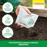 Biostimulator de inradacinare 3x9 g, Stimulare Naturala a Cresterii, Neudorff