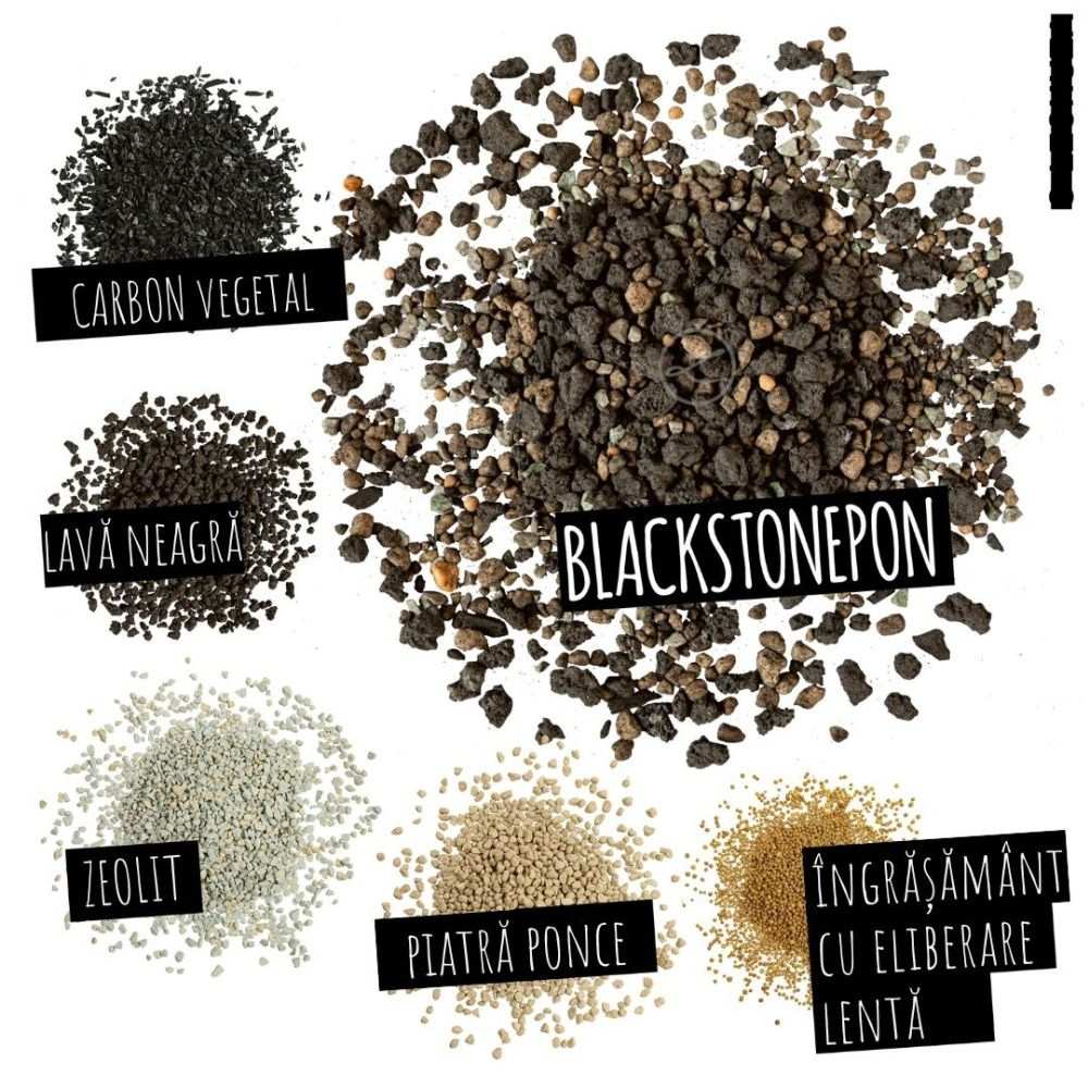 Substrat Mineral LECHUZA Blackstonepon 12 l, 100% fara turba, culoare neagra deosebita, cu ingrediente naturale