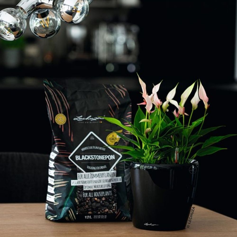 Substrat Mineral LECHUZA Blackstonepon 12 l, 100% fara turba, culoare neagra deosebita, cu ingrediente naturale