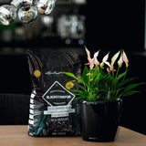 Substrat Mineral LECHUZA Blackstonepon 12 l, 100% fara turba, culoare neagra deosebita, cu ingrediente naturale