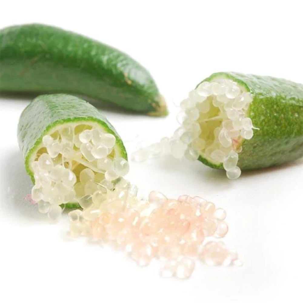 Pom Lamai Caviar (Citrus Australasica), 40-50 cm, fructe exotice cu pulpa perlata tip caviar, vesnic verde, ideal pentru ghiveci si terasa