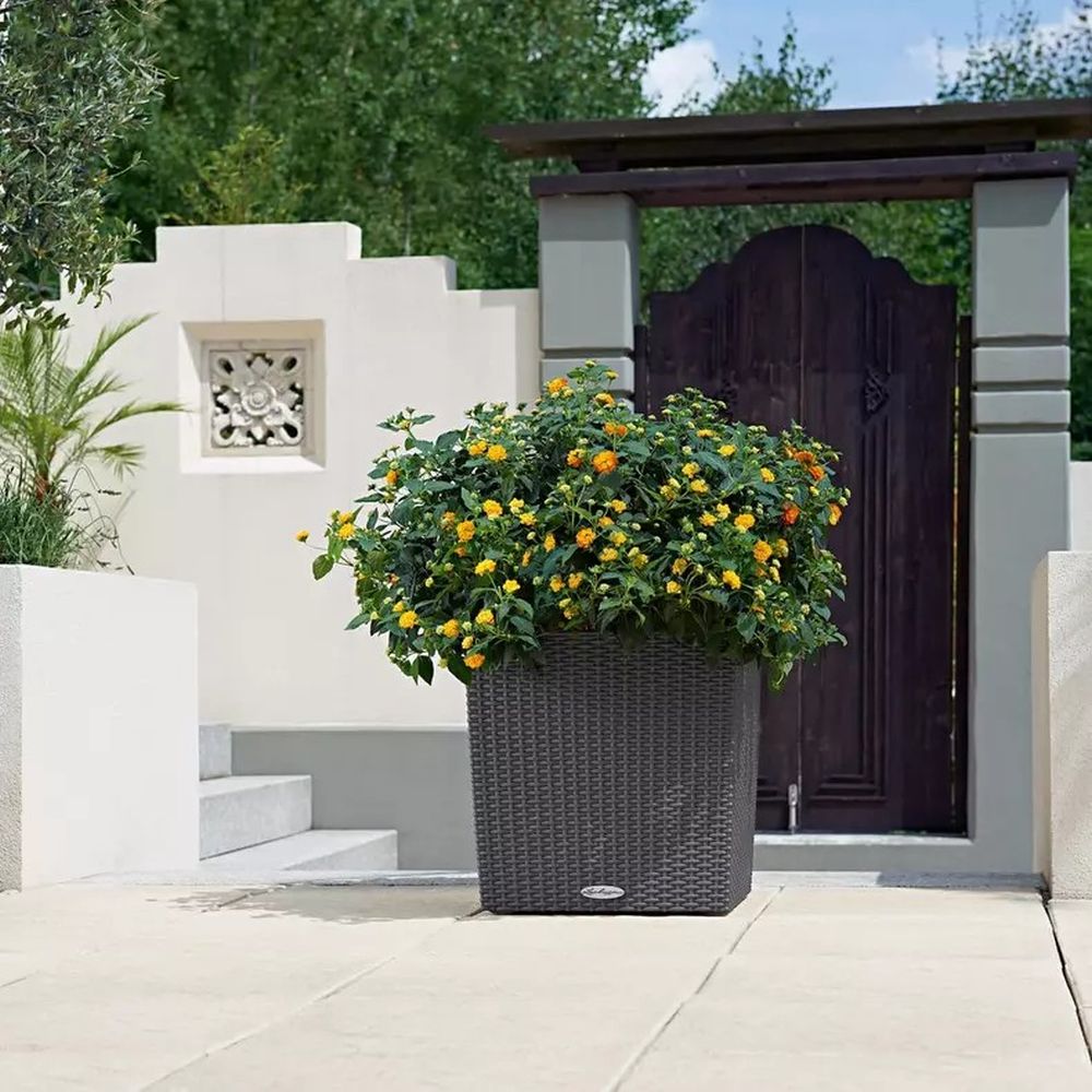 Ghiveci Auto-Irigant Lechuza Cube Cottage 40, 31 l, efect de ratan negru, pentru plante cu ghiveci, sistem de autoirigare, insert detasabil, strat de drenaj