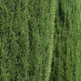 Chiparos Italian Bolgheri, conifer columnar mediteranean, vesnic verde, rezistent la seceta si frig moderat, potrivit pentru ghiveci, alee, poarta, decor mediteranean