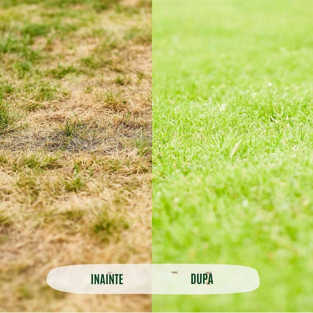 Ingrasamant Organic Granule Fine pentru Gazon, 3 kg pentru 75 mp, cu Efect Natural Instant si de Lunga Durata, COMPO