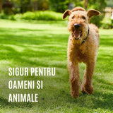 Ingrasamant Organic Granule Fine pentru Gazon, 3 kg pentru 75 mp, cu Efect Natural Instant si de Lunga Durata, COMPO