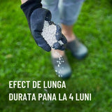 Ingrasamant gazon COMPO cu efect indelungat Perfect, NPK 22-3-10, 3 kg pentru 120 mp