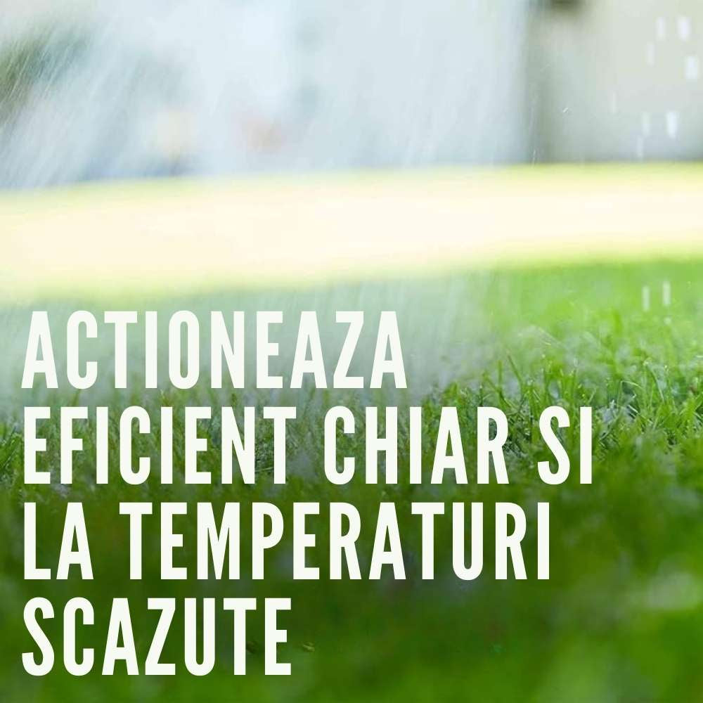 Ingrasamant gazon COMPO cu efect indelungat Perfect, NPK 22-3-10, 3 kg pentru 120 mp