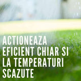 Ingrasamant gazon COMPO cu efect indelungat Perfect, NPK 22-3-10, 3 kg pentru 120 mp