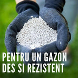 Ingrasamant gazon COMPO cu efect indelungat Perfect, NPK 22-3-10, 3 kg pentru 120 mp