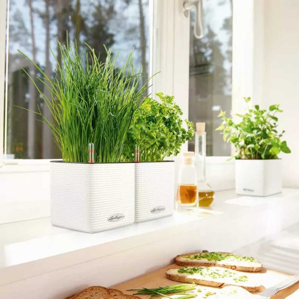 Ghiveci Auto-Irigant Lechuza Cube Color 14, efect de ratan alb, pentru plante cu ghiveci, sistem de autoirigare, insert detasabil, strat de drenaj