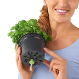 Ghiveci Auto-Irigant Lechuza Cube Color 16, efect de ratan negru, pentru plante cu ghiveci, sistem de autoirigare, insert detasabil, strat de drenaj