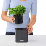 Ghiveci Auto-Irigant Lechuza Cube Color 16, efect de ratan negru, pentru plante cu ghiveci, sistem de autoirigare, insert detasabil, strat de drenaj