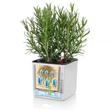 Ghiveci Auto-Irigant Lechuza Cube Color 16, efect de ratan negru, pentru plante cu ghiveci, sistem de autoirigare, insert detasabil, strat de drenaj