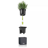 Ghiveci Auto-Irigant Lechuza Cube Color 16, efect de ratan negru, pentru plante cu ghiveci, sistem de autoirigare, insert detasabil, strat de drenaj