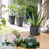 Ghiveci Auto-Irigant Lechuza Cube Glossy 14, negru lucios, pentru plante cu ghiveci, sistem de autoirigare, insert detasabil, strat de drenaj