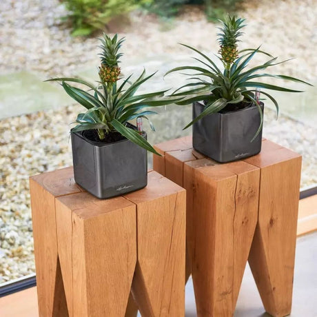 Ghiveci Auto-Irigant Lechuza Cube Glossy 14, negru lucios, pentru plante cu ghiveci, sistem de autoirigare, insert detasabil, strat de drenaj