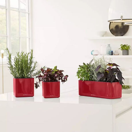Ghiveci Auto-Irigant Lechuza Cube Glossy Triple, rosu lucios, pentru plante cu ghiveci, sistem de autoirigare, insert detasabil, strat de drenaj