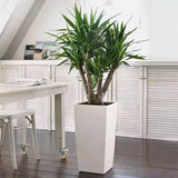 Ghiveci Auto-Irigant Lechuza Cubico Color 30, 14 l, alb mat, sistem de autoirigare, insert detasabil, strat de drenaj
