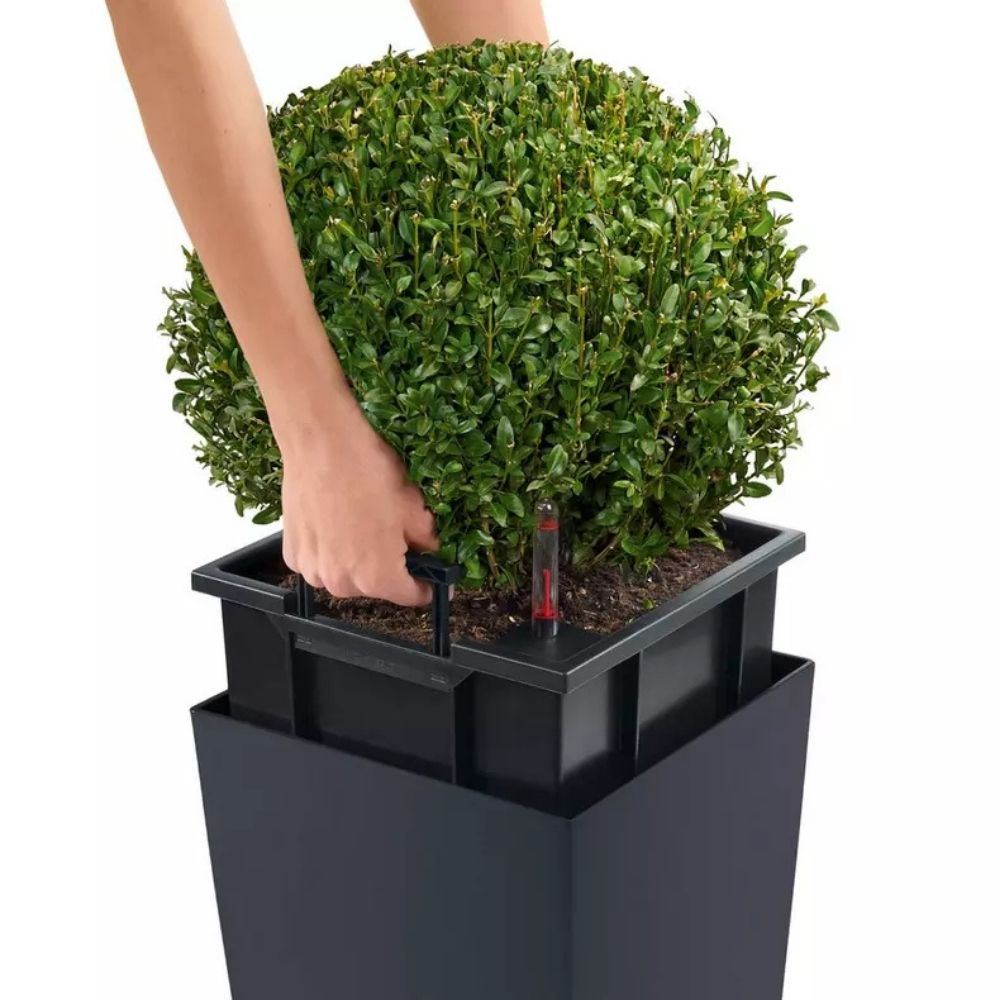 Ghiveci Auto-Irigant Lechuza Cubico Color 30, 14 l, bej mat, sistem de autoirigare, insert detasabil, strat de drenaj