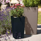 Ghiveci Auto-Irigant Lechuza Cubico Cottage 30, 14 l, efect de ratan negru, pentru plante cu ghiveci, sistem de autoirigare, insert detasabil, strat de drenaj