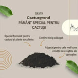 Culvita Pamant pentru Cactus 5 l, Sol optim cactusi si suculente, drenaj excelent, crestere sanatoasa, prevenire putrezire radacini