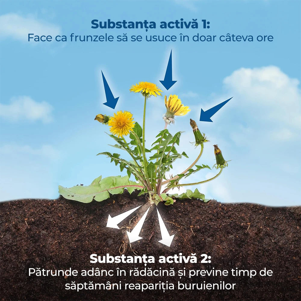 Erbicid Duo pentru Buruieni si Radacini, 500 ml, PROTECT GARDEN