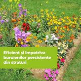 Erbicid Duo pentru Buruieni si Radacini, 500 ml, PROTECT GARDEN