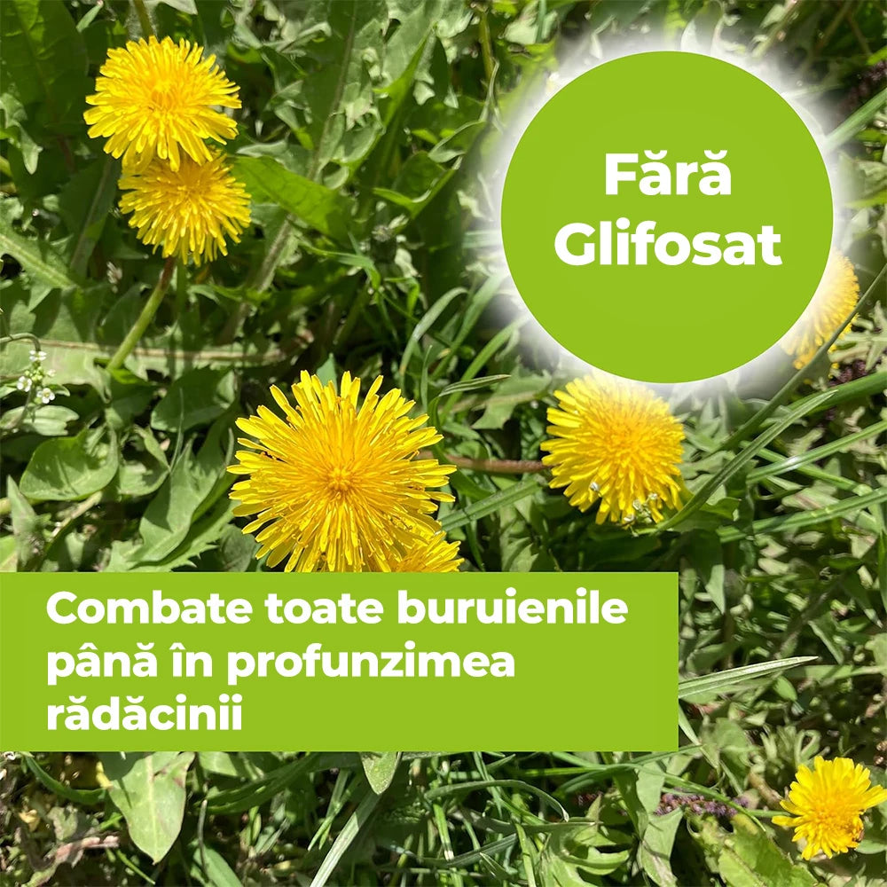 Erbicid Duo pentru Buruieni si Radacini, 500 ml, PROTECT GARDEN