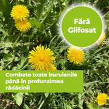 Erbicid Duo pentru Buruieni si Radacini, 500 ml, PROTECT GARDEN