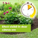 Erbicid Duo pentru Buruieni si Radacini, 500 ml, PROTECT GARDEN