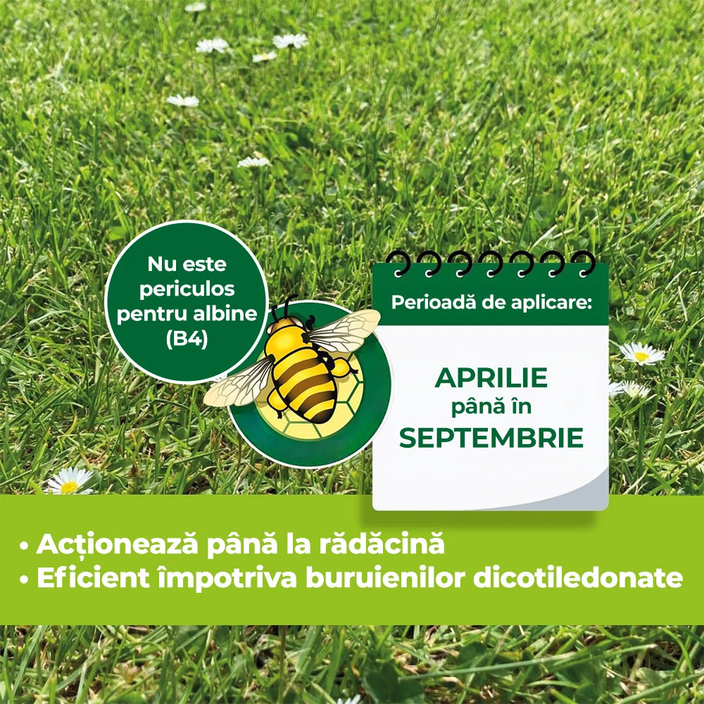 Erbicid Universal pentru Gazon, Contra Buruienilor Tenace cu Efect Quadruplu, 250ml pentru 250mp, PROTECT GARDEN