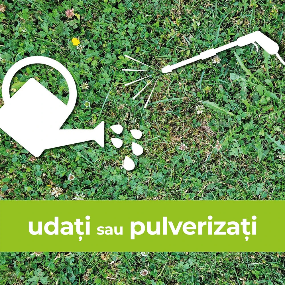 Erbicid Universal pentru Gazon, Contra Buruienilor Tenace cu Efect Quadruplu, 250ml pentru 250mp, PROTECT GARDEN