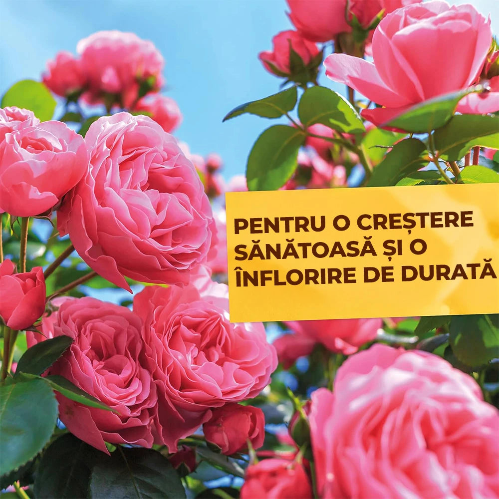 Extract de Urzica pentru Plante ornamentale si fructifere, intarirea si fortificarea plantelor predispuse la daunatori, 1l, SOLABIOL