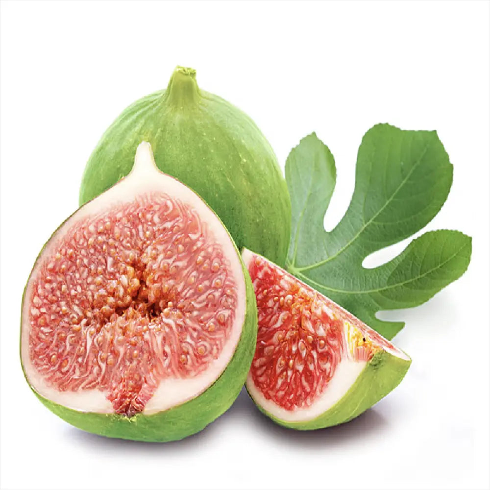 Smochin Copac (Ficus Carica) Dottato, cu fructe galbene-aurii, an 2 pe rod