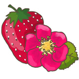 Capsuna Bio Fragaria Queeny, capsuni dulci aromate, productie bogata, organic/bio