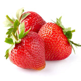Capsuna Bio Fragaria Queeny, capsuni dulci aromate, productie bogata, organic/bio