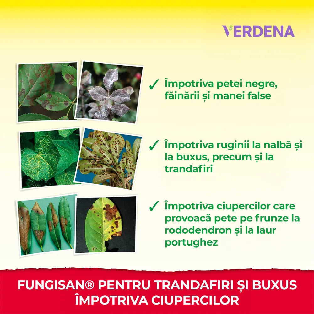 Spray Fungicid Organic Fungisan pentru trandafiri si buxus, contra boli fungice, fainare, rugina, natural si sigur pentru albine, 1L, NEUDORFF