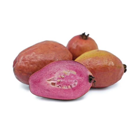 Fructul Guayabito purpurea (Psidium eugeniaefolia), in ghiveci, exotic cu fructe rosii aromat dulce acrisot, pulpa roze comestibile