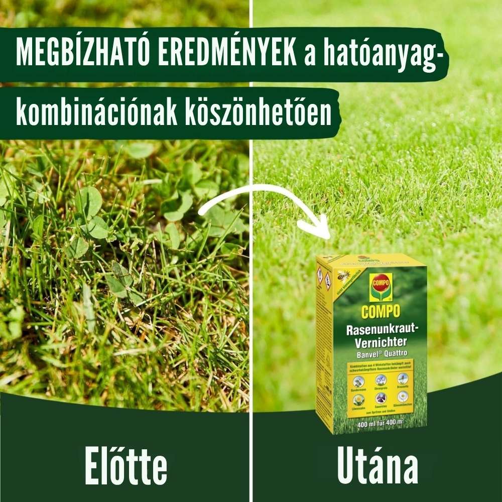 Erbicid pentru Gazon COMPO Banvel Quattro 10 ml, combatere buruieni, pentru 10 mp