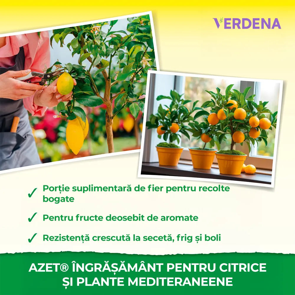 Ingrasamant Azet pentru Plante Citrice si Plante Mediteraneene, 750 g, Neudorff