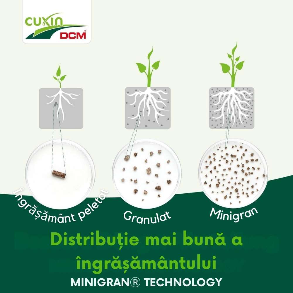 Ingrasamant Gazon Anti Muschi CUXIN, Micro Lawn Fertiliser Plus 10 kg, pentru 200 mp