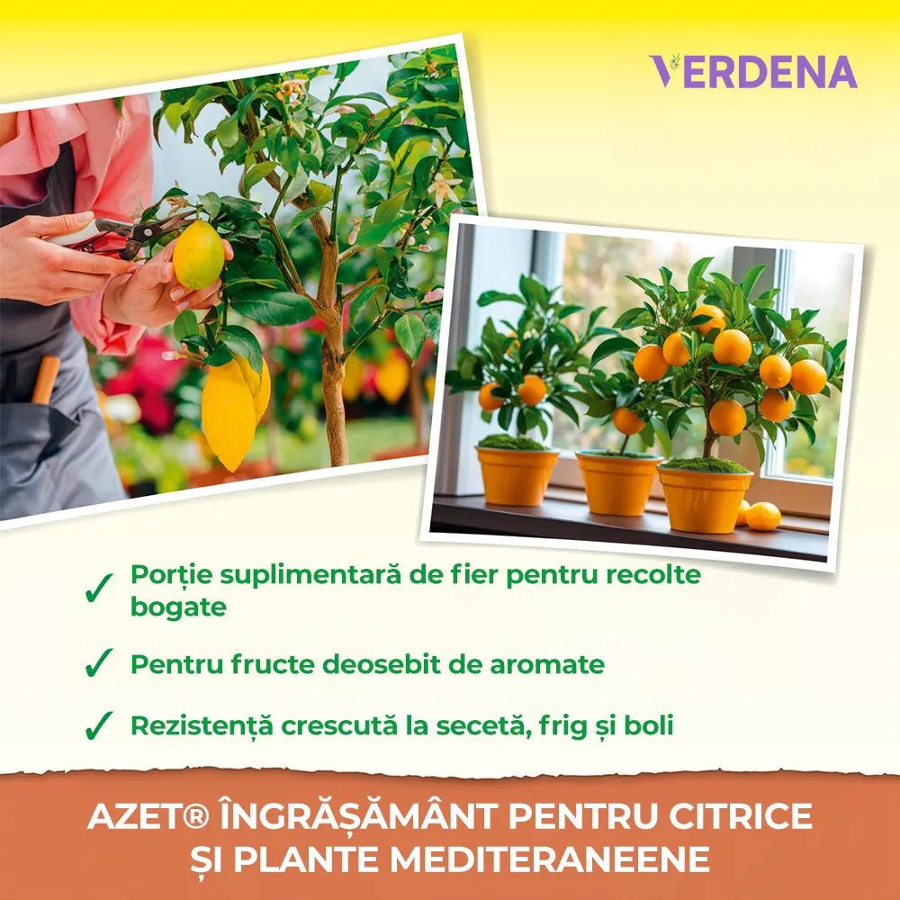 Ingrasamant Lichid pentru Plante Citrice si Mediteraneene, 250 ml, Nutritie Optima, Neudorff