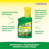 Ingrasamant Lichid pentru Plante Verzi, 250 ml, Crestere Rapida, Neudorff