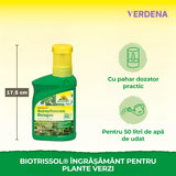 Ingrasamant Lichid pentru Plante Verzi, 250 ml, Crestere Rapida, Neudorff