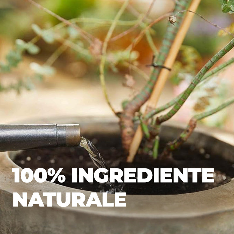 Ingrasamant Organic Lichid pentru Plante Citrice 500 ml, COMPO