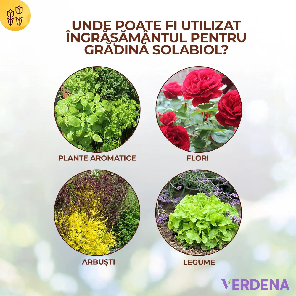 Ingrasamant Organic Universal pentru Gradina, 2.5 kg, cu Efect Imediat si de Lunga Durata pentru Fructe, Legume si Plante Ornamentale, SOLABIOL