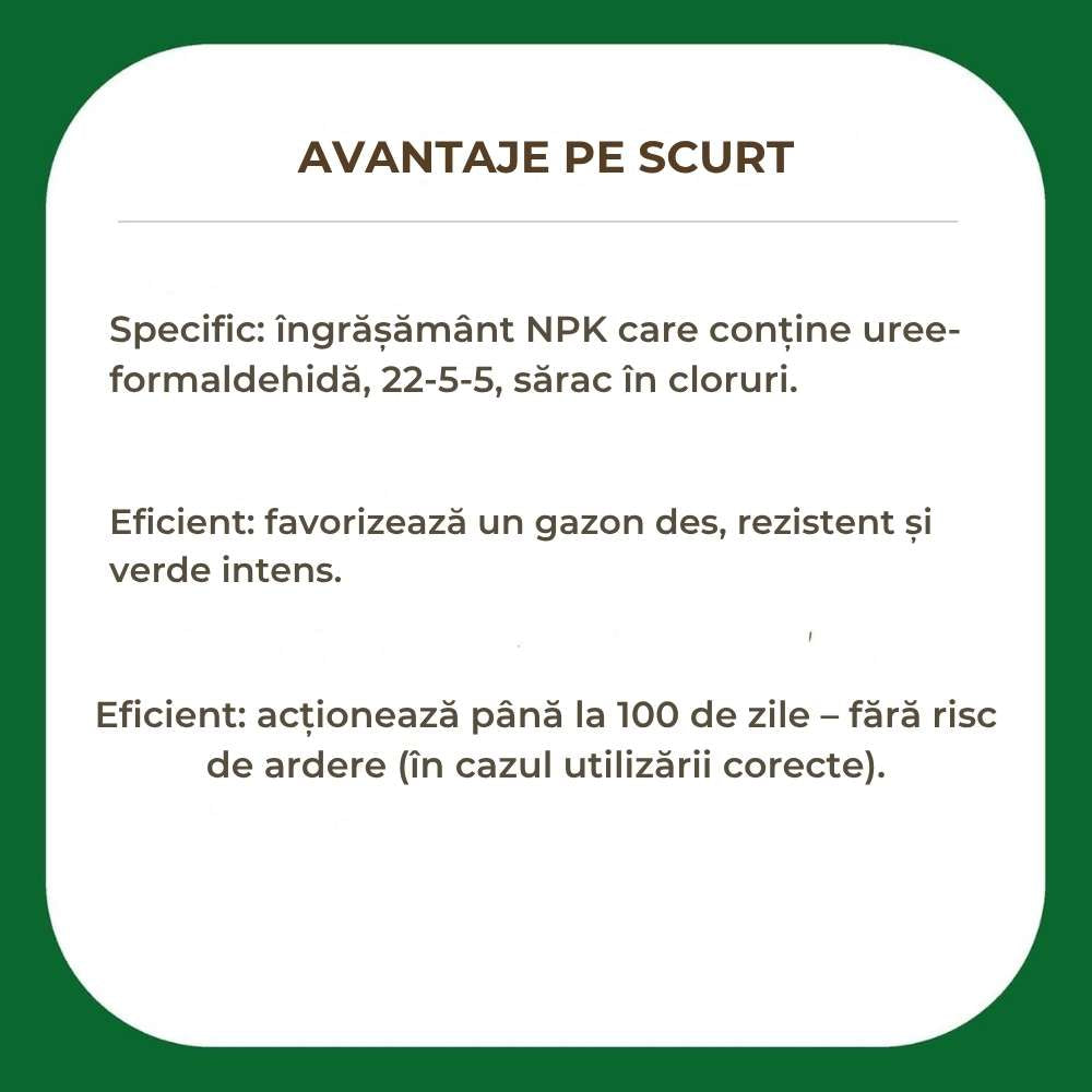 Ingrasamant Premium SUBSTRAL pentru Gazon 5 kg - Efect Verde 100 Zile, pentru 200 mp
