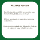 Ingrasamant Premium SUBSTRAL pentru Gazon 5 kg - Efect Verde 100 Zile, pentru 200 mp