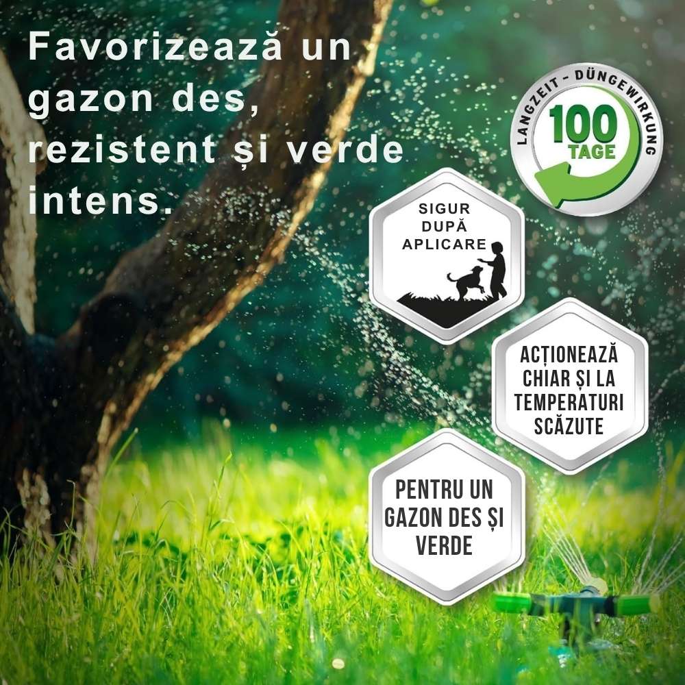 Ingrasamant Premium SUBSTRAL pentru Gazon 5 kg - Efect Verde 100 Zile, pentru 200 mp