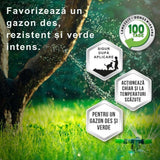 Ingrasamant Premium SUBSTRAL pentru Gazon 5 kg - Efect Verde 100 Zile, pentru 200 mp